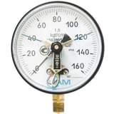 Манометр ДВ 8008-В-У2 и 1 вібростійкий 60кгс/см2 кл.1.5 М20х1,5 (G1/2)